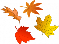 Autumn Leaves Clipart - Free Clipart on Dumielauxepices.net