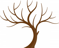 Tree Branch Leaf Clip art - family tree 1200*973 transprent Png Free ...