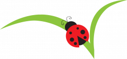 Image of Branches Clipart #5313, Lady Bug Clip Art Bug Flower Leaf ...