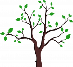 Clipart - Sparse Foliage Tree