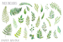 Watercolor Ferns Clipart | Forest Leaves Clipart - Greenery ...