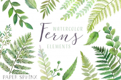 Watercolor Ferns Clipart | Forest Leaves Clipart - Greenery Leaf Branches  and Stems - Wedding Invitation Clip Art - Instant Download PNGs
