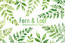 Fern & Leaf Watercolor clipart, Forest Leaves Clipart, Green Leaf Branches,  Botanical plants, Green clip art, Wedding Invitation Clip Art