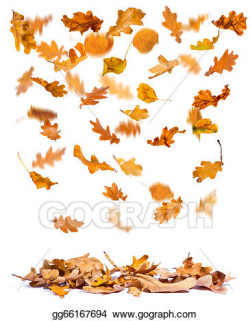 Stock Illustration - Autumn oak leaves falling. Clipart ...