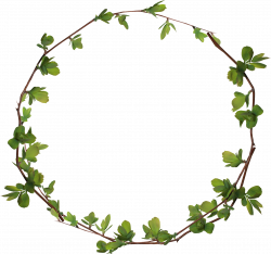 Circle Clip art - Leaves ring 2570*2410 transprent Png Free Download ...