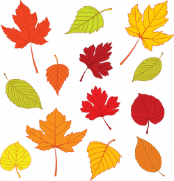free leaf templates of leaves - Google Search | FMT | Pinterest ...
