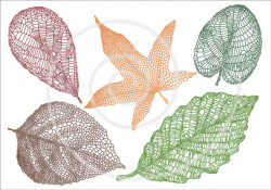 Autumn leaves, digital clip art, skeleton leaf silhouette ...