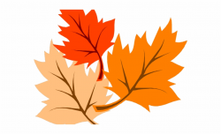 Autumn Leaves Clipart Corner Border - Transparent Maple Leaf ...