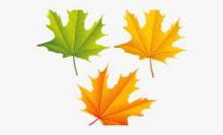 Free Maple Leaf Clipart Fall Leaves Clipart Clear Background ...