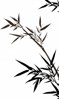 Bamboo Drawing Clip art - Bamboo leaves 1550*2598 transprent Png ...
