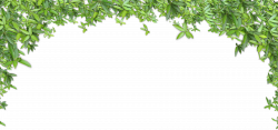 Clip art - Green leaves background 3600*1695 transprent Png Free ...
