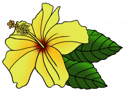 United States Clip Art by Phillip Martin, State Flower of Hawaii ...