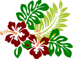 Imagen gratis en Pixabay - Hibisco, Flores, Rojo, Tropicales ...