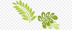 Hawaiian Background clipart - Leaf, Plant, Tree, transparent ...