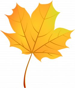 Autumn Leaves Maple leaf - Vector gold autumn leaf pattern 3236*3770 ...