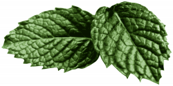 Mint Leaves - Mint Leaf - Rooweb Clipart