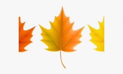Autumn Leaves Clipart October Leaves - Sugar Maple Leaf ...
