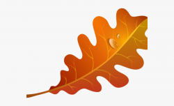 Autumn Leaves Clipart Orange Leaf - Orange Fall Leaves Clip ...