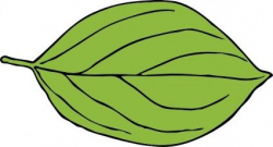 Oval Leaf clip art | Clip art | Leaf clipart, Clip art, Leaves
