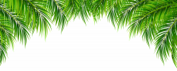 Palm Leaves Decor PNG Clip Art Image | Gallery Yopriceville - High ...