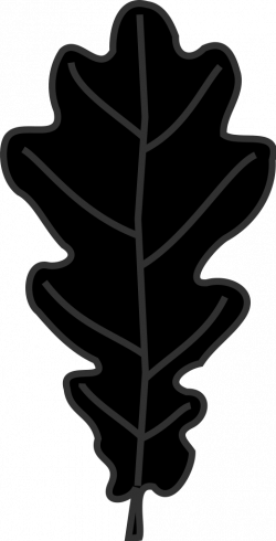 White Oak Leaf Silhouette at GetDrawings.com | Free for personal use ...