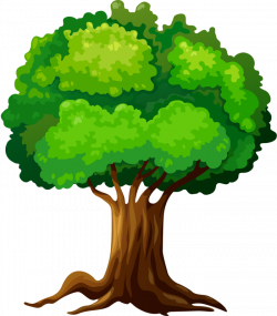 3.png | Pinterest | Clip art, Tree leaves and Tree clipart