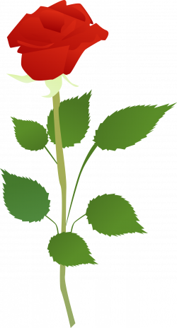 Clipart - Rose Flower