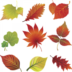 Fall leaves colorful clip art for the fall season autumn ...