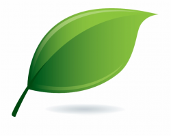 Environmental Clipart Single Green Leave - Leaf Go Green ...
