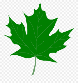Green Leaf Clipart Green Maple Leaves Clipart Clip - Clip ...