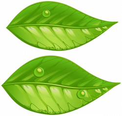 Green Leaves PNG Transparent Clip Art Image | Gallery Yopriceville ...