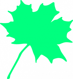 Maple Leaf Clipart at GetDrawings.com | Free for personal use Maple ...