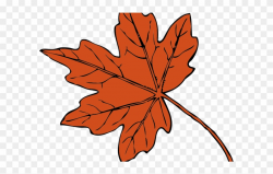 Leaves Clipart Leef - Thanksgiving Leaf Clip Art - Png ...