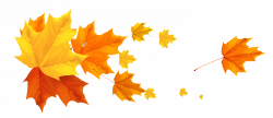 Deco Fall Leafs PNG Clipart Picture | ClipArt | Pinterest