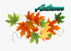 Autumn Leaves Free Png Image - Thanksgiving Clip Art Png ...
