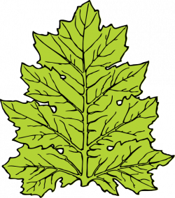 Acanthus Leaf Clip Art at Clker.com - vector clip art online ...