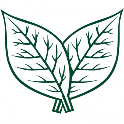 Tobacco Leaf Clip Art | Free download best Tobacco Leaf Clip ...