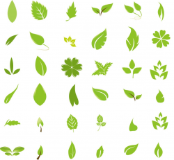 Leaf Design Clip Art | Free download best Leaf Design Clip ...