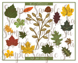 SVG Set of 17 Leaves of two layers, Paper Flower Leaves, Paper Autumn/Fall  Leave, Leaves Template, Cricut/Silhouette Ready