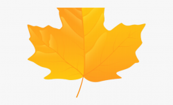 Autumn Leaves Clipart - Yellow Maple Leaf #1326028 - Free ...