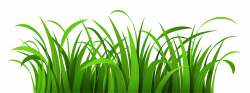 Free Swamp Background Cliparts, Download Free Clip Art, Free Clip ...