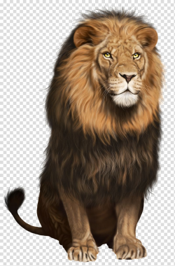 East African lion Felidae Desktop , wild animals transparent ...