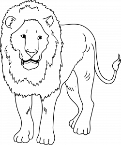 Lion clipart drawing ~ Frames ~ Illustrations ~ HD images ~ Photo ...