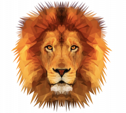 ➳ Emmasimoncic.tumblr.com | Low Poly Lion Illustration ...