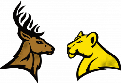 The Lion & the Deer • Sirjja