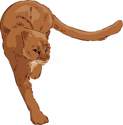 Lion Cub Clipart at GetDrawings.com | Free for personal use Lion Cub ...