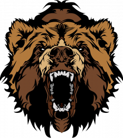 Grizzly bear Clip art - Roaring bear head 892*1000 transprent Png ...