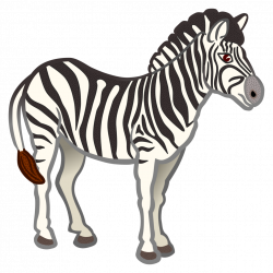 Lion Zebra Clip art - zebra 1024*1024 transprent Png Free Download ...