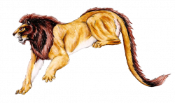 28+ Collection of Nemean Lion Clipart | High quality, free cliparts ...