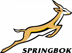 South Africa national rugby union team - Wikipedia